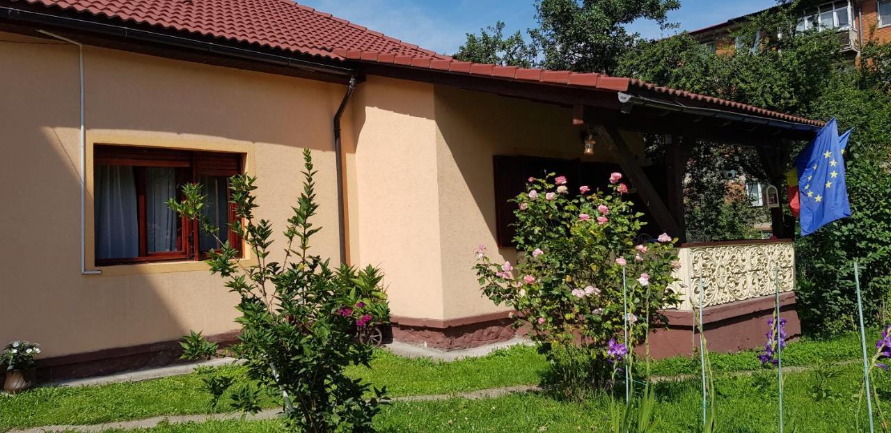 La Mihai Lupeni  Luaran gambar